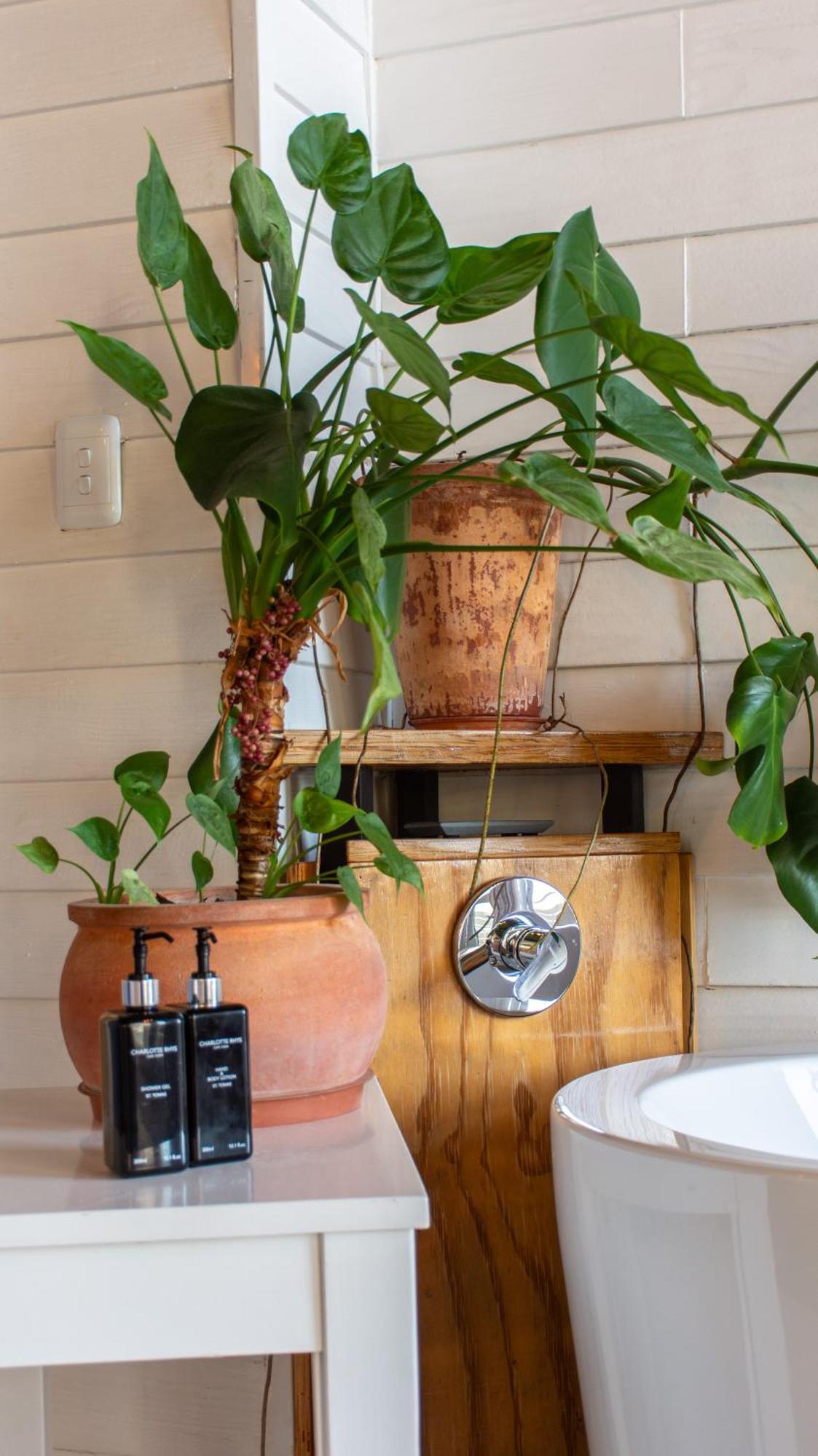 The Lofts Boutique Hotel Knysna Zewnętrze zdjęcie